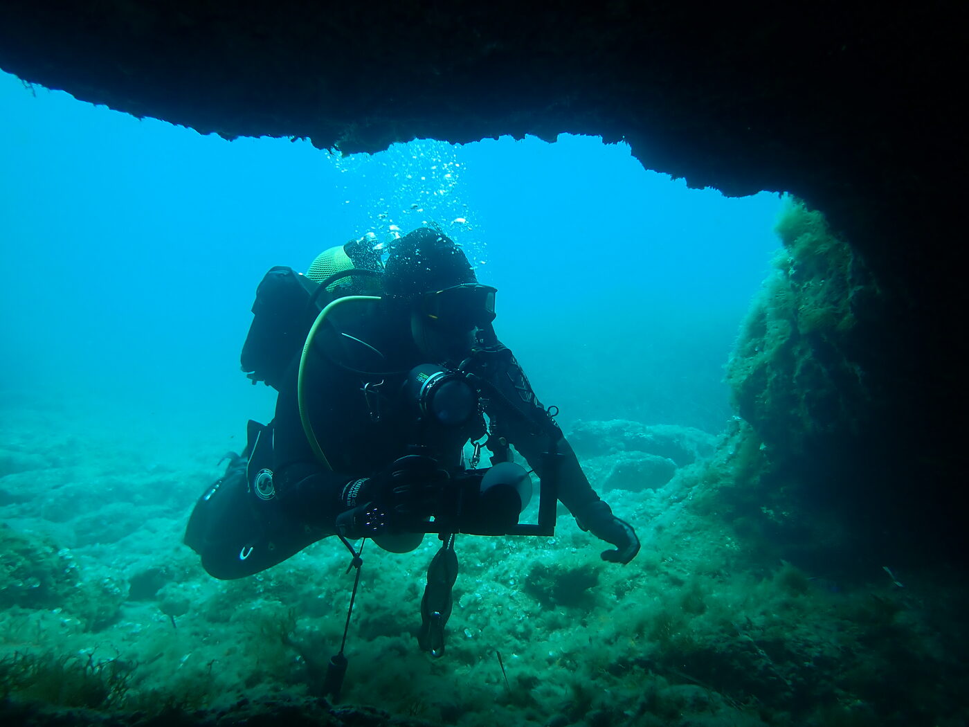Marine cave habitat