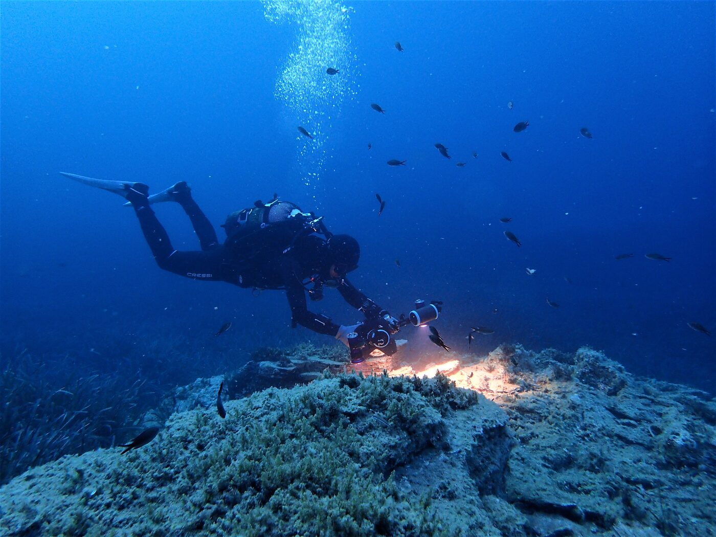 A national call for volunteer divers