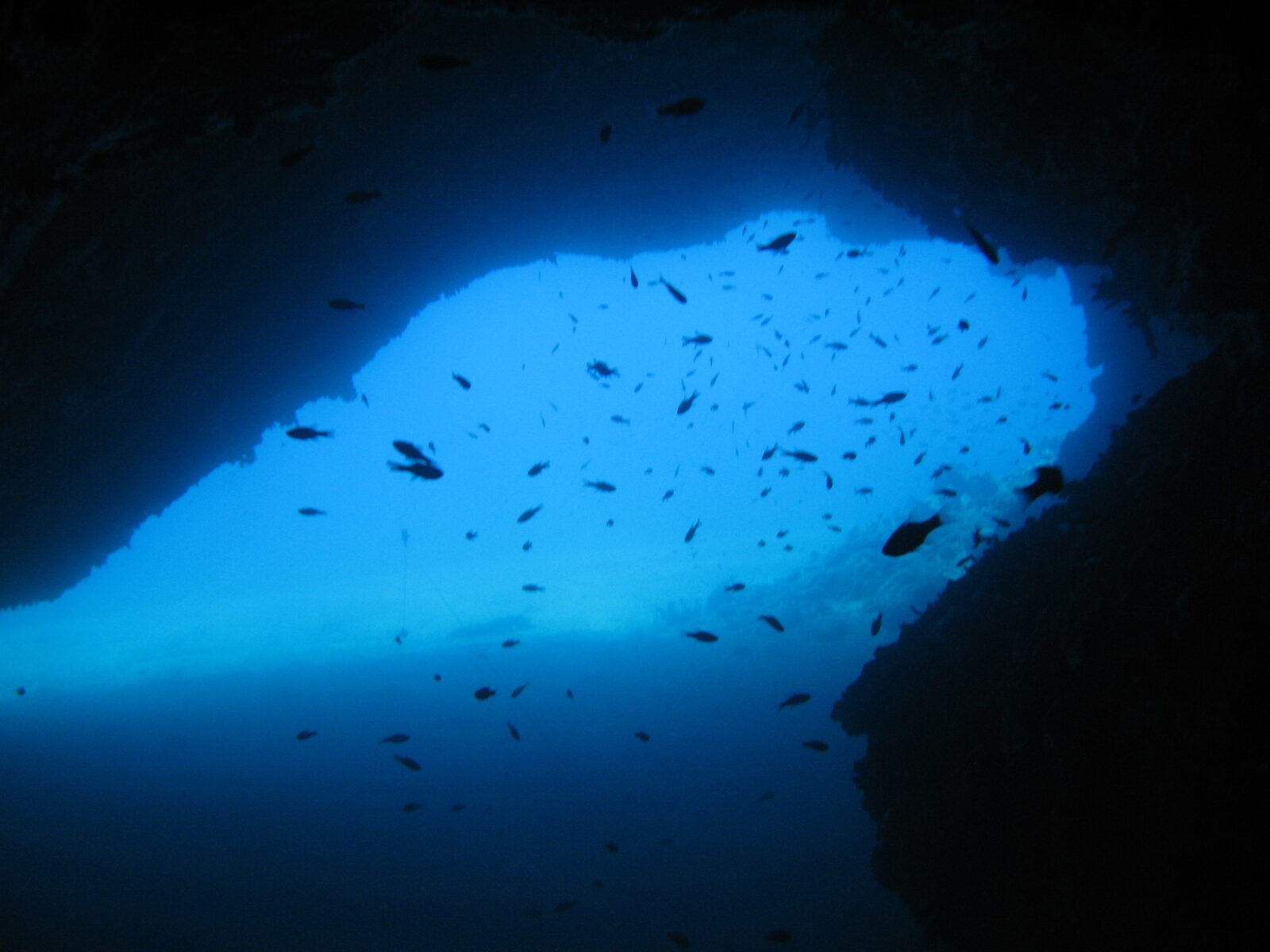Interior of a marine cave